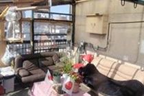 Tokyo Guest House 2020 Exterior foto